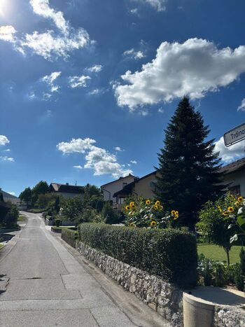 Ulice, trgi in ceste našega mesta: Trdinova ulica