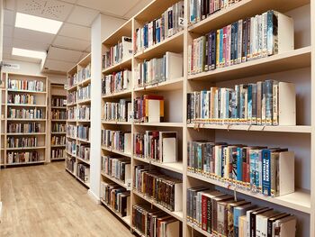 Knjižnica Pavla Golie Trebnje: leto 2025 v številkah – in zgodbah