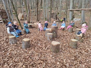 Mravljice rade raziskujemo naravo Mravljice rade raziskujemo naravo