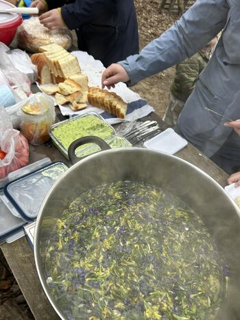 OBELEŽITEV MEDNARODNEGA DNEVA GOZDOV