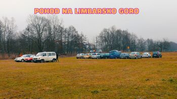 Pohod na Limbarsko Goro po nagelj