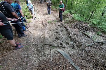 NARAVOVARSTVENA EKSKURZIJA PD TREBNJE PO TRAVLJANSKI NATURI 