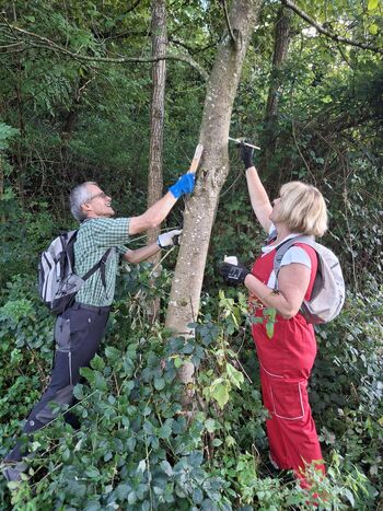 AKCIJA MARKACISTOV PD TREBNJE AKCIJA MARKACISTOV PD TREBNJE