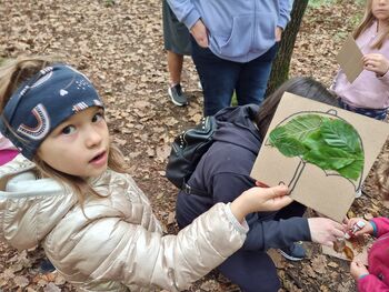 Aktivni sprehod Cici planincev PD TREBNJE, OKTOBER 2025