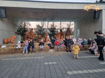 PRAZNIČNI POHOD CICI PLANINCEV PD TREBNJE