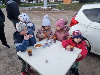 AKTIVNI SPREHOD CICI PLANINCEV JANUARJA 2026