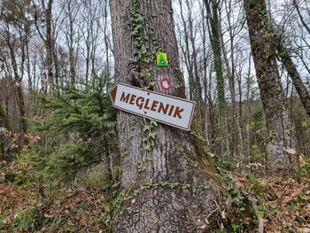 ČISTILNA AKCIJA MARKACISTOV, GORSKIH STRAŽARJEV IN VARUHOV GORSKE NARAVE PD TREBNJE