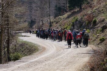 NARAVOVARSTVENA EKSKURZIJA "CVETOČA VELIKA PLANINA"  PD TREBNJE
