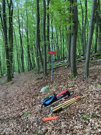 MARKACIJSKA AKCIJA PD TREBNJE