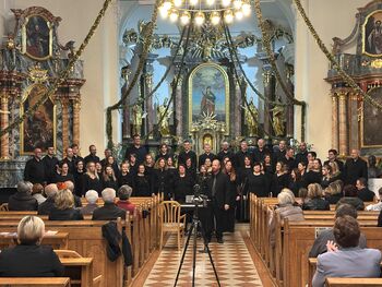 Leo fortis s polno paro naprej Leo fortis s polno paro naprej