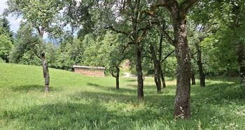 Nagrade za tradicionalno sušenje krme ali žita v kozolcih 2026