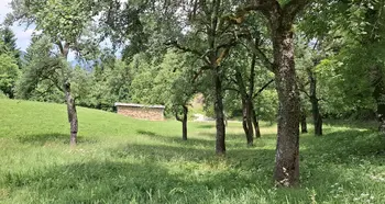 Nagrade za tradicionalno sušenje krme ali žita v kozolcih 2026