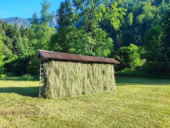 Nagrade za tradicionalno sušenje krme ali žita v kozolcih 2026