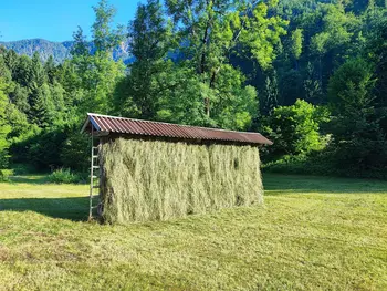 Nagrade za tradicionalno sušenje krme ali žita v kozolcih 2026