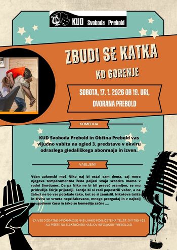 ODRASLI GLEDALIŠKI ABONMA, komedija  ZBUDI SE KATKA