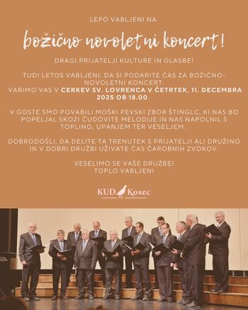 Božično - novoletni koncert v Dragomerju