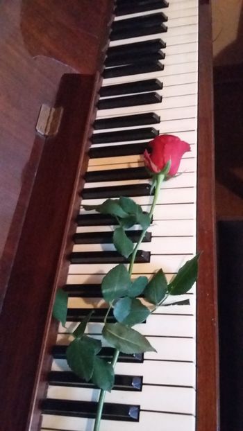 Naj prijateljstvo živi, ki pesem ga rodi...