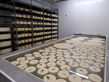 Izlet prostoferjev: Dober dan, dobra družba Izlet prostoferjev: Dober dan, dobra družba