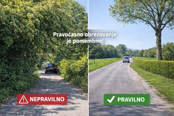 Urejanje vegetacije ob cestah – pomembno za varnost vseh