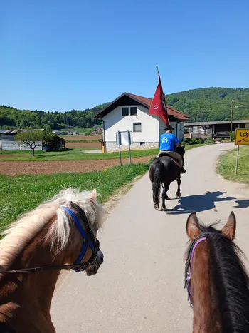 Aktivni konjeniki Konjerejskega društva Trebnje