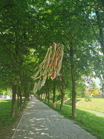 Mengeški občinski praznik – skupna zgodba vseh generacij