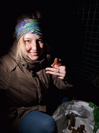 Prostovoljstvo: Zgodbe, ki navdihujejo. Ljudje, ki spreminjajo. 