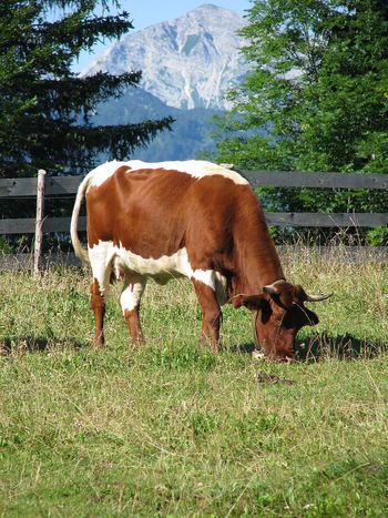 Vabilo na informativno izobraževanje