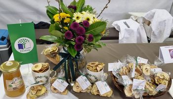 Osnovna šola Horjul na sejmu Altermed&Flora Osnovna šola Horjul na sejmu Altermed&Flora