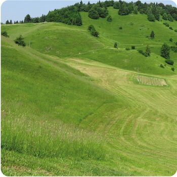 VABILO NA DELAVNICO - Oskrba travinja in pridelava krme na travinju ter predstavitev APV sejalnic VABILO NA DELAVNICO - Oskrba travinja in pridelava krme na travinju ter predstavitev APV sejalnic