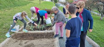 Šolski vrt si je nadel jesesnko podobo Šolski vrt si je nadel jesesnko podobo