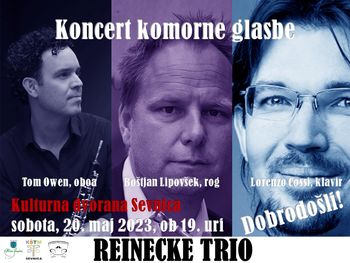 Koncert komorne glasbe - Reinecke trio
