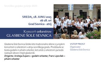 Koncert orkestrov Glasbene šole Sevnica