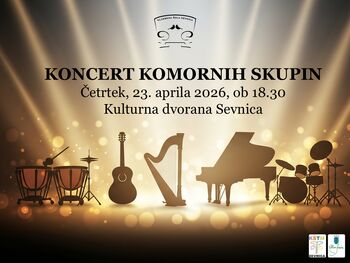 Koncert komornih skupin Glasbene šole Sevnica
