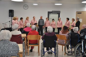 Martinovi pečeni kostanji in mlado vino v DSO Kresnice Ajdovščina