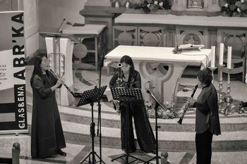 Kritika koncerta Tria Suave v Borovnici