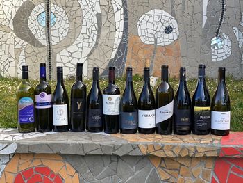 Čudoviti svet modrih frankinj