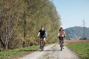 Namig za premik: S kolesom ob Savi