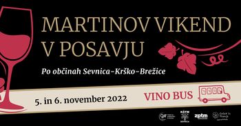 Martinov vikend v Posavju