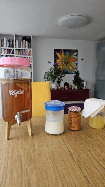 FERMENTACIJA- ČAROVNIJA ŽIVLJENJA V KOZARCU, praktična delavnica 