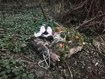 Gregorjevo – ko luč vržemo v vodo in pomlad potrka na vrata 