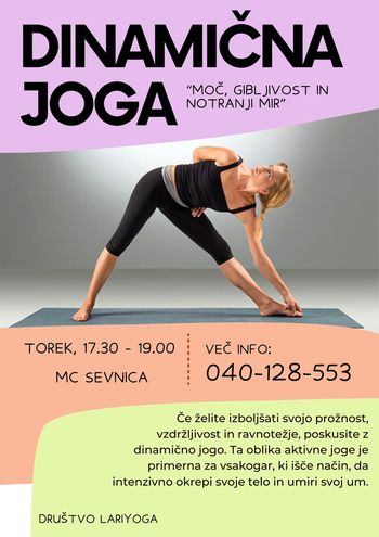 Dinamična joga