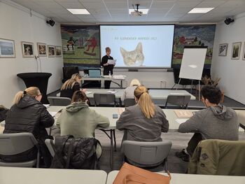 Dogajanje v Večgeneracijskem centru Posavje+, enota Sevnica