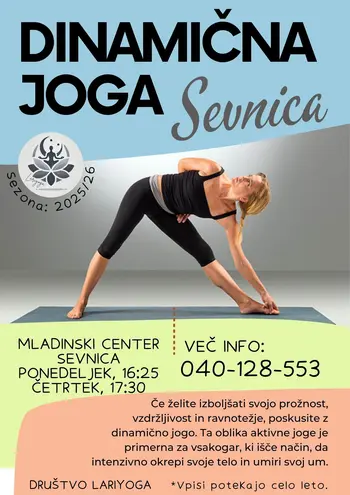 Dinamična joga