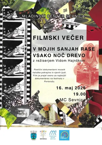 Filmski večer