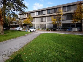 PISMO OBČANKE: Replika na županove odgovore članu KS Bled