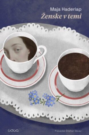 Bralni krožek društva DVIG - Maja Haderlap, roman Ženske v temi