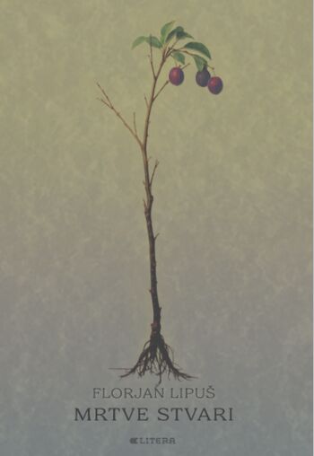 Bralni krožek društva DVIG - Florjan Lipuš Mrtve stvari