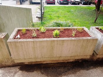 Veselo druženje sosedov Glinškove ploščadi 3