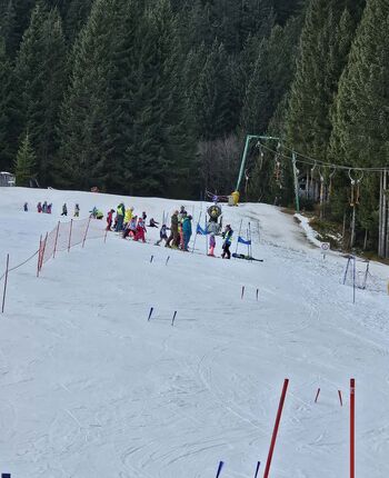 Veselo na bele strmine Veselo na bele strmine