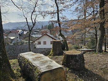 Zahvala Infrastrukturi Bled Zahvala Infrastrukturi Bled